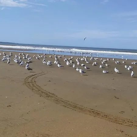 Mobil 6 Places St Brevin Les Pins 44 Kamp alanı *